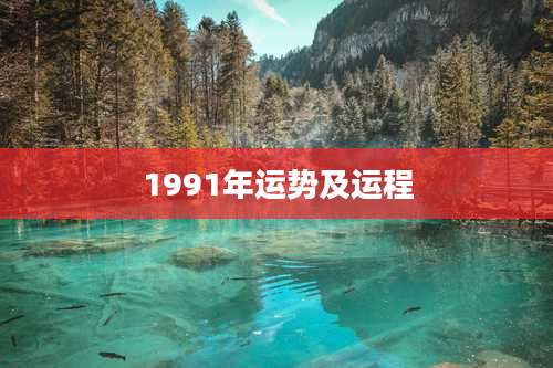 1991年运势及运程