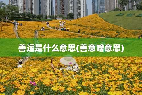 善运是什么意思(善意啥意思)