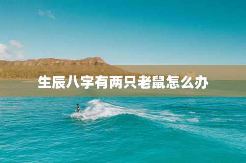 生辰八字有两只老鼠怎么办