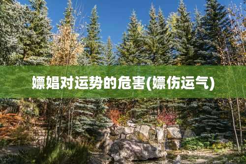 嫖娼对运势的危害(嫖伤运气)