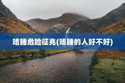 嗜睡危险征兆(嗜睡的人好不好)