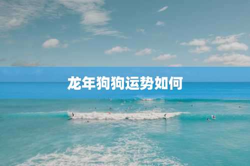 龙年狗狗运势如何