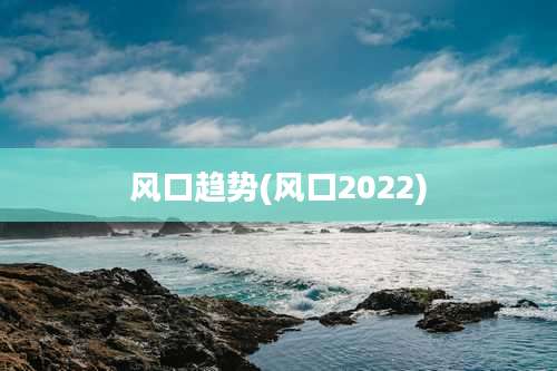 风口趋势(风口2022)