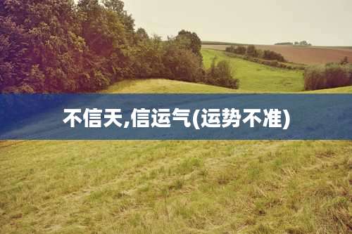 不信天,信运气(运势不准)