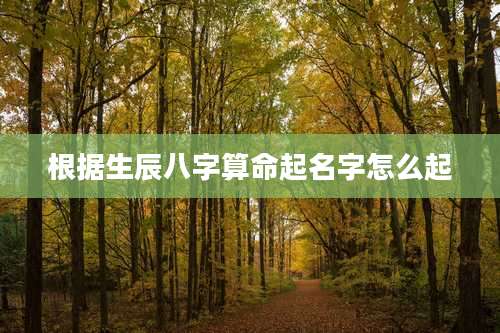 根据生辰八字算命起名字怎么起