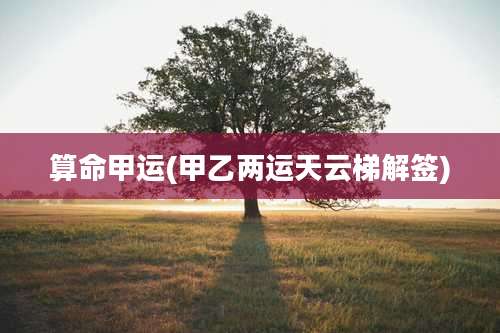 算命甲运(甲乙两运天云梯解签)