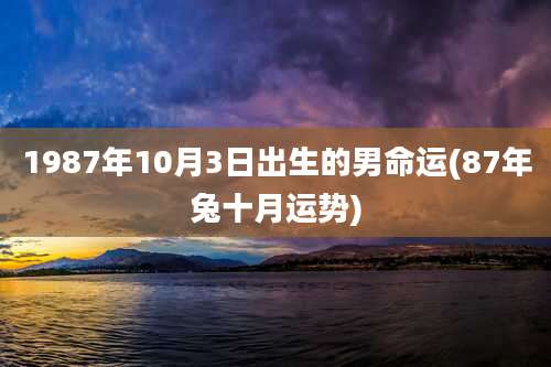 1987年10月3日出生的男命运(87年兔十月运势)