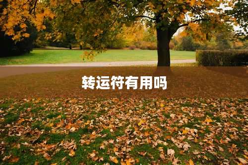 转运符有用吗
