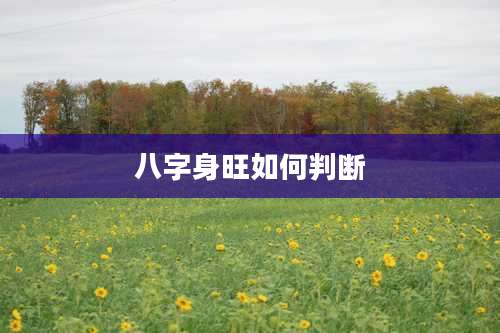 八字身旺如何判断