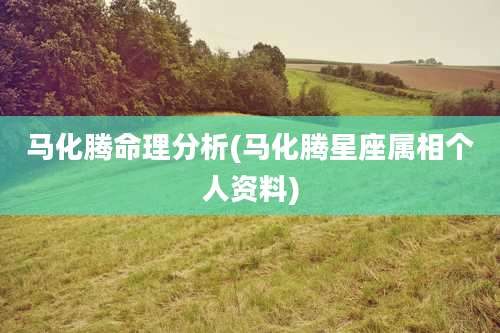 马化腾命理分析(马化腾星座属相个人资料)
