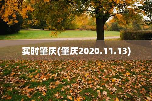 实时肇庆(肇庆2020.11.13)