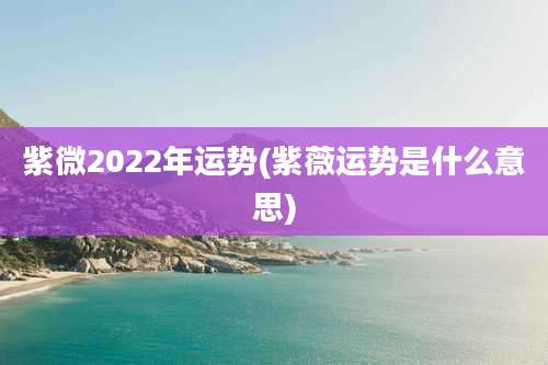 紫微2022年运势(紫薇运势是什么意思)