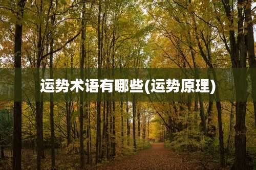 运势术语有哪些(运势原理)