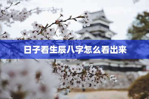 日子看生辰八字怎么看出来