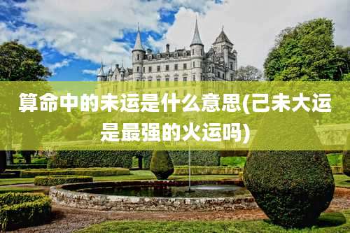 算命中的未运是什么意思(己未大运是最强的火运吗)