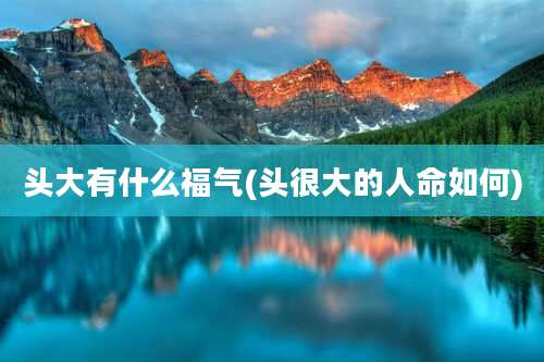 头大有什么福气(头很大的人命如何)