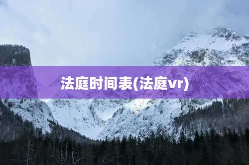 法庭时间表(法庭vr)