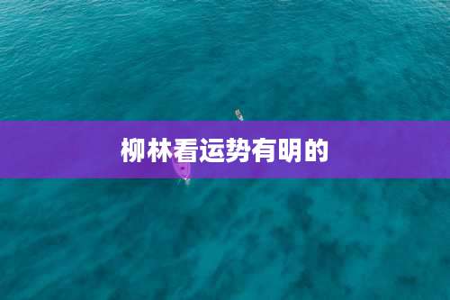 柳林看运势有明的