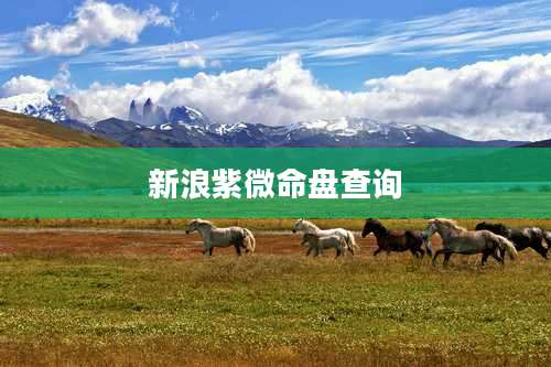 新浪紫微命盘查询