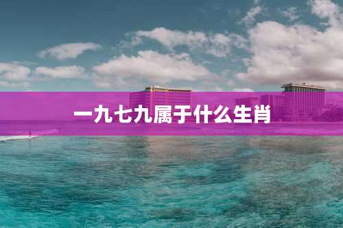 一九七九属于什么生肖