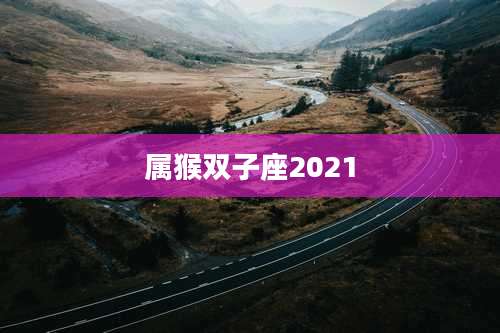 属猴双子座2021