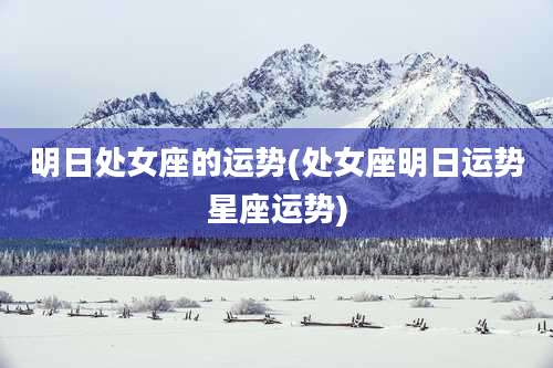 明日处女座的运势(处女座明日运势星座运势)