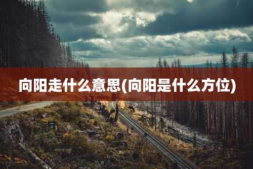 向阳走什么意思(向阳是什么方位)