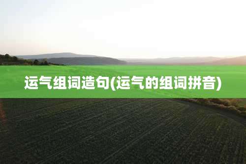 运气组词造句(运气的组词拼音)