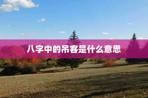 八字中的吊客是什么意思