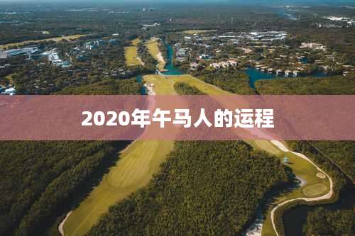 2020年午马人的运程