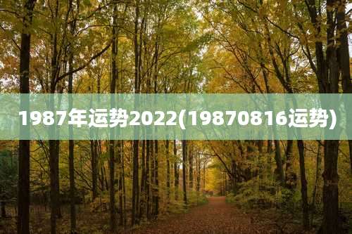 1987年运势2022(19870816运势)