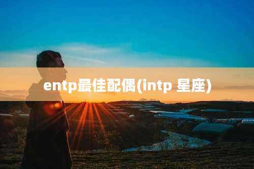 entp最佳配偶(intp 星座)
