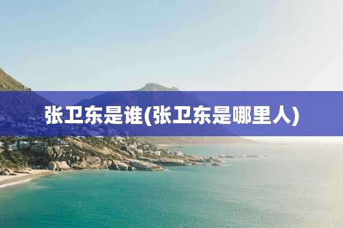 张卫东是谁(张卫东是哪里人)