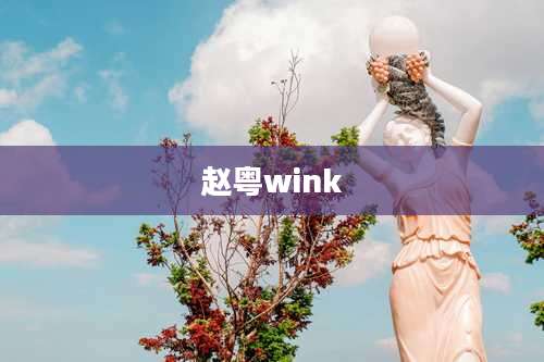 赵粤wink
