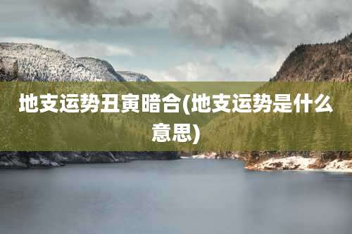 地支运势丑寅暗合(地支运势是什么意思)