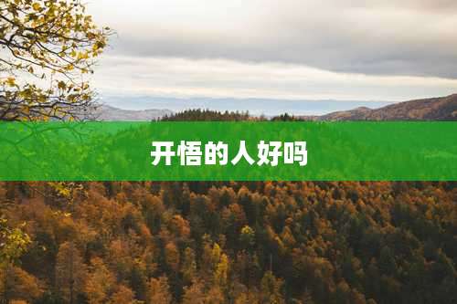 开悟的人好吗