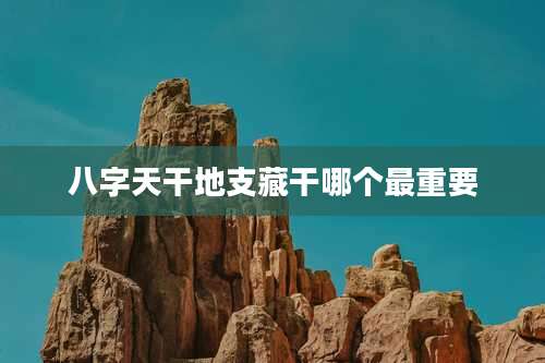 八字天干地支藏干哪个最重要