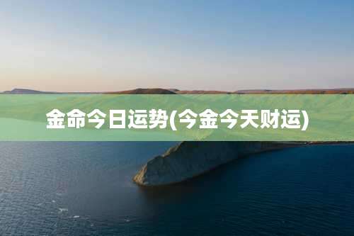 金命今日运势(今金今天财运)