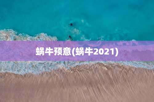 蜗牛预意(蜗牛2021)
