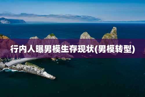 行内人曝男模生存现状(男模转型)