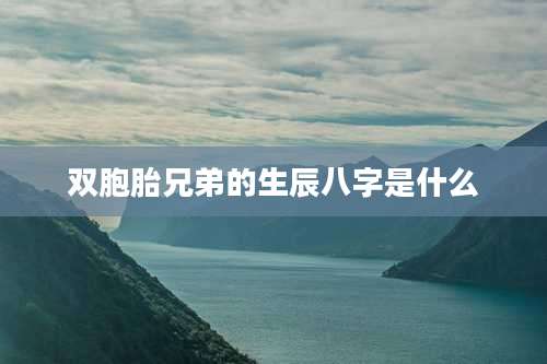 双胞胎兄弟的生辰八字是什么