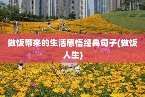 做饭带来的生活感悟经典句子(做饭人生)