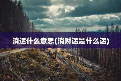 消运什么意思(消财运是什么运)