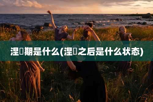 涅槃期是什么(涅槃之后是什么状态)