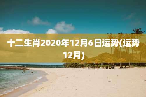 十二生肖2020年12月6日运势(运势12月)