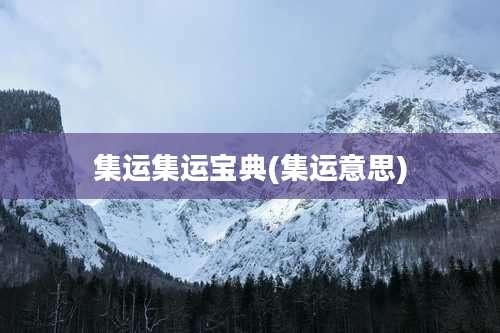 集运集运宝典(集运意思)