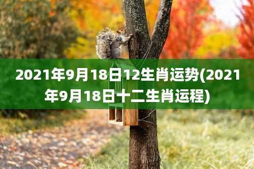 2021年9月18日12生肖运势(2021年9月18日十二生肖运程)