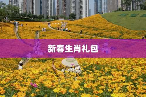 新春生肖礼包