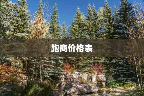 跑商价格表
