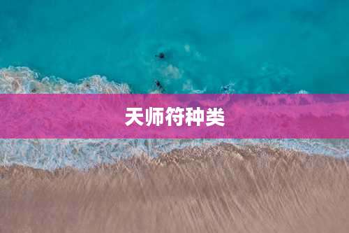 天师符种类